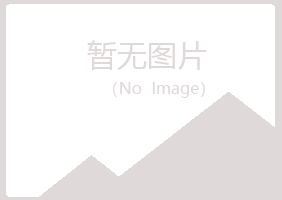 广东白山律师有限公司